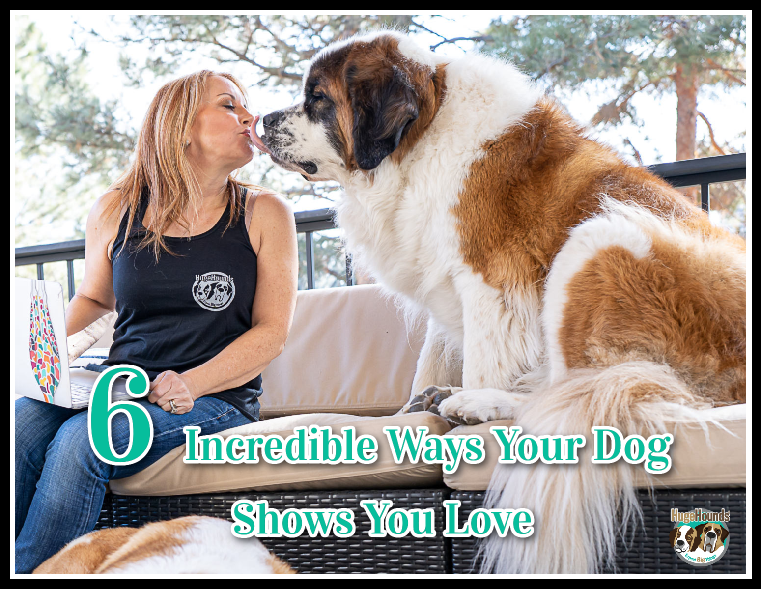 6 Incredible Ways Your Dog Shows You Love