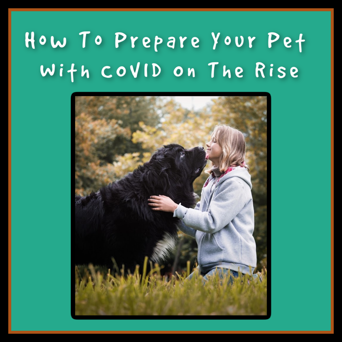 How to prepare your pet with COVID on the rise