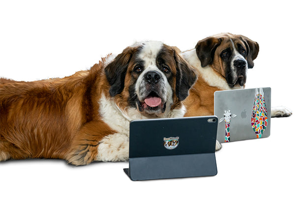 Sign up your HugeHound today!