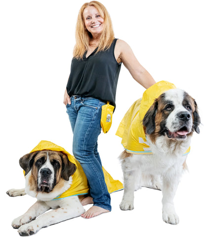 The Rain Rover Raincoat Say Goodbye To Smelly Wet Dog!