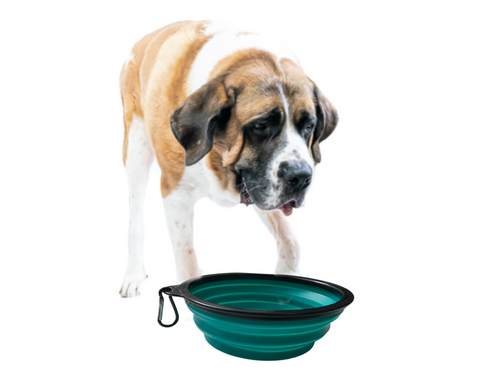 BIG DOG Travel Water Bowl with Carabiner (Teal)