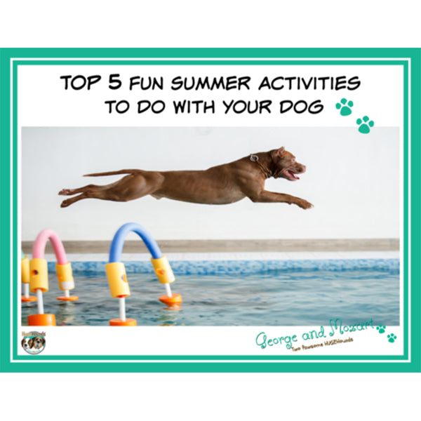 Top Five Fun Summer Activities to Do With Your Dog