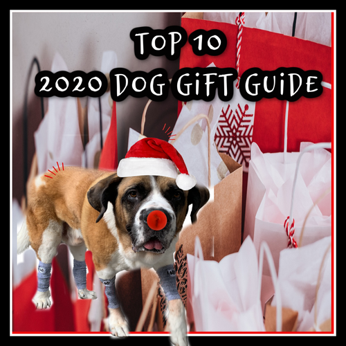 Top 10: 2020 Holiday Dog Gift Guide