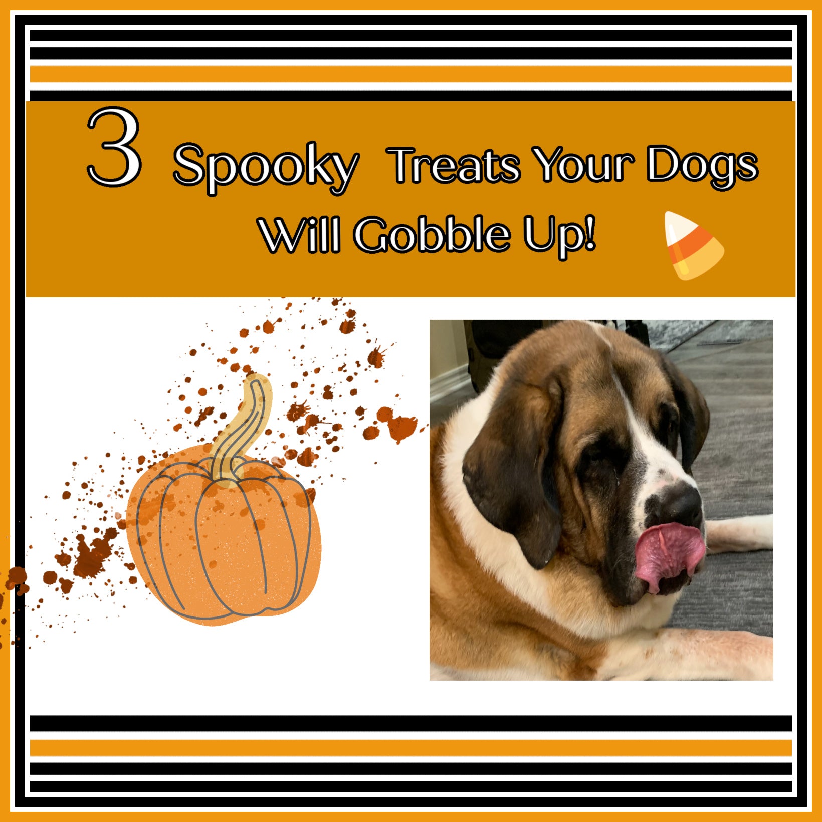 3 Spooky Treats Your Dogs Will Gobble Up!