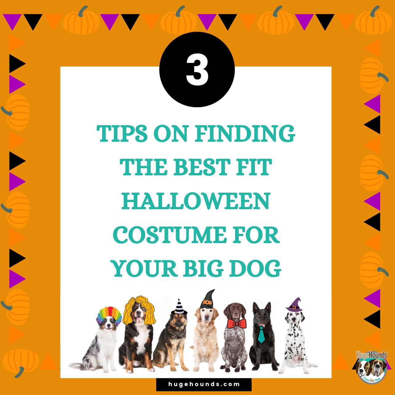 3 Tips On Finding The Best Fit Halloween Costume For Your BIG Dog