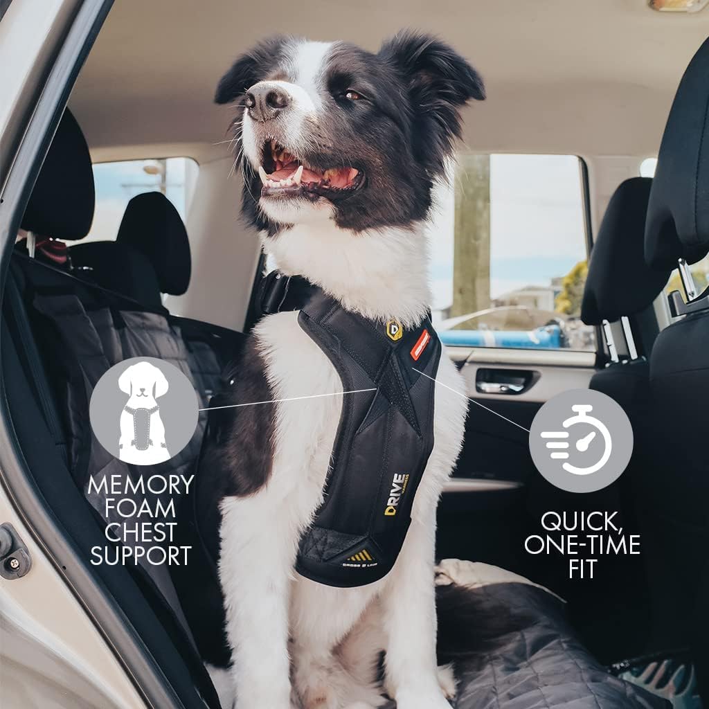 EzyDog DRIVE Dog Car Harness - Crash Tested US (FMVSS 213) Certified, Black, Small