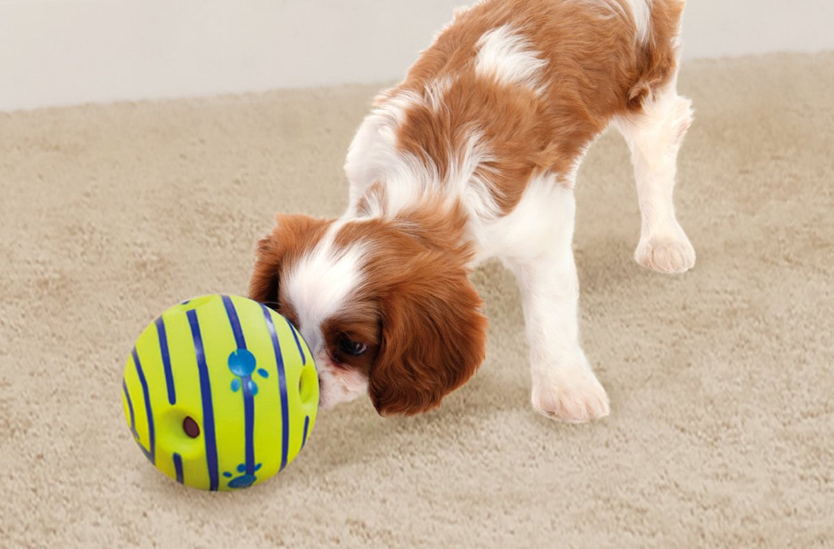 Wobble Wag Giggle Ball, Interactive Dog Toy As Seen On TV
