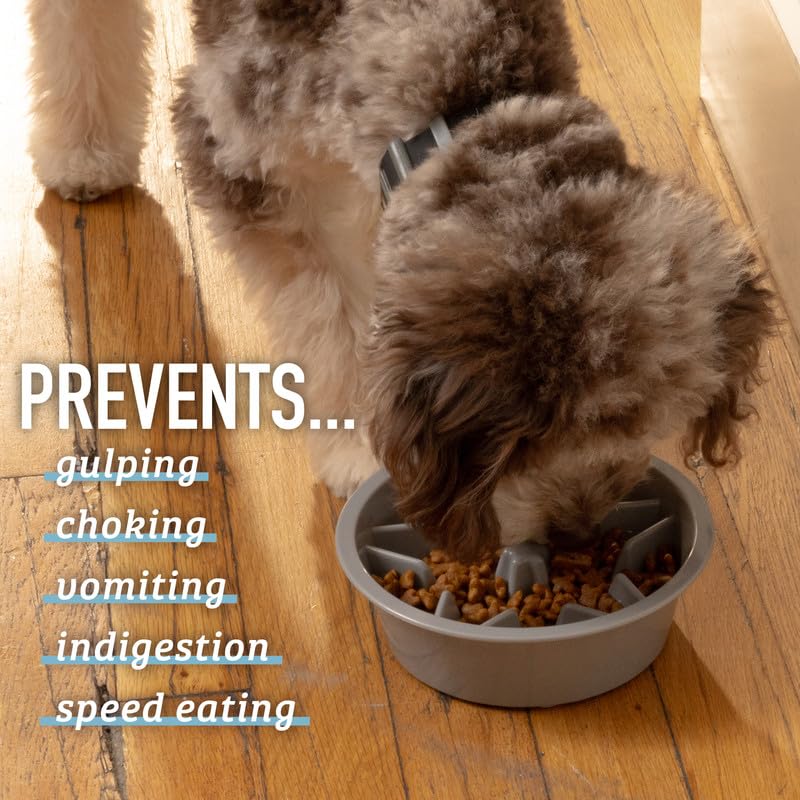 Slow Feeder LARGE Dog Bowls - Cup Maze Puzzle Food Bowl with Feeder Holes, Fits into Elevated Pet Feeders (4 Cup - 8.9-9.25 Inch Feeder Holes)