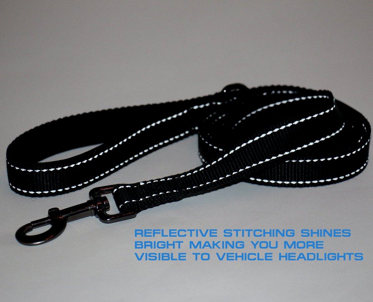 Double Handle Traffic Dog Leash Reflective - (Black, 6 FT)