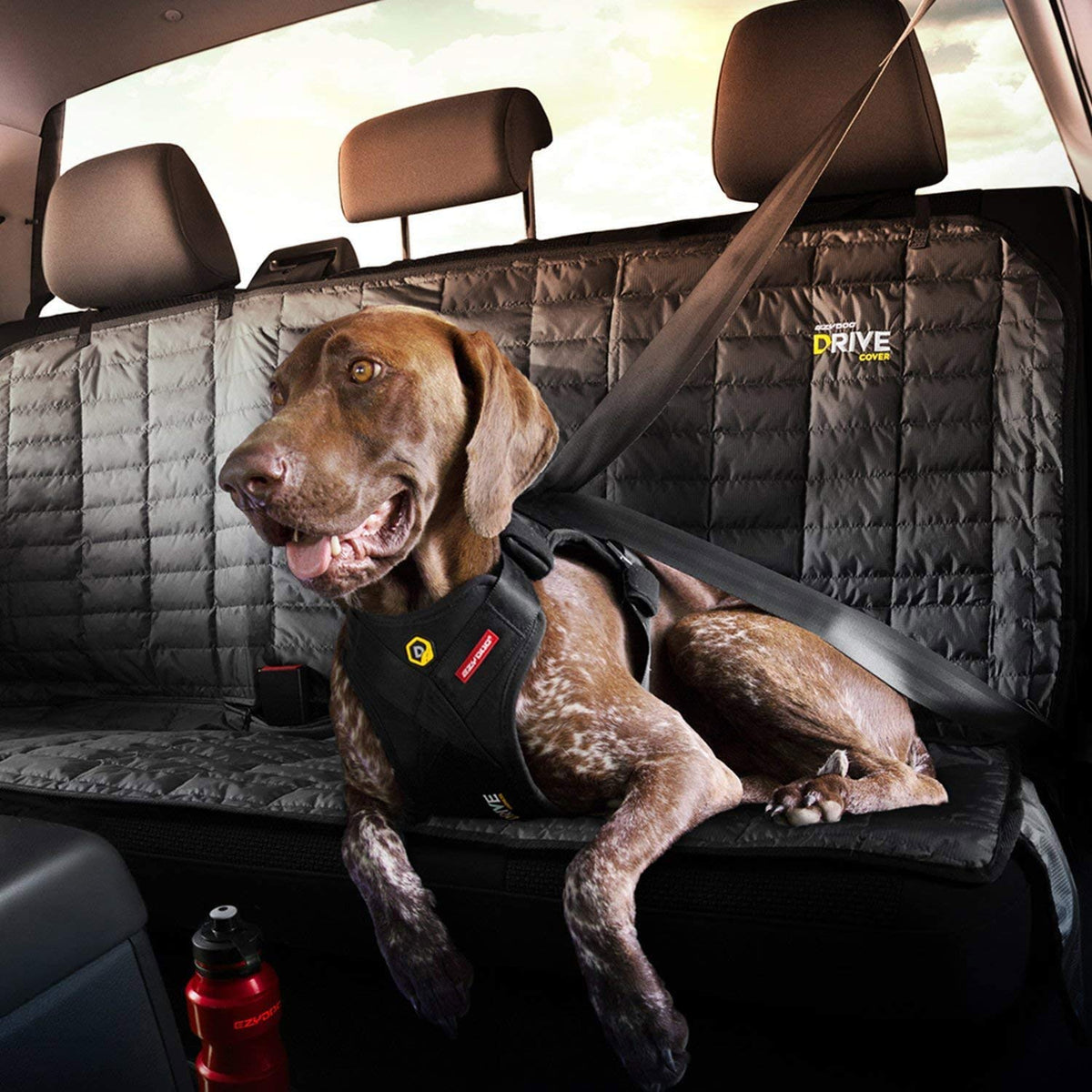 EzyDog Drive Safety Travel Dog Car Harness - Crash Tested US (FMVSS 213) - Use with Car Seat Belt (Large)