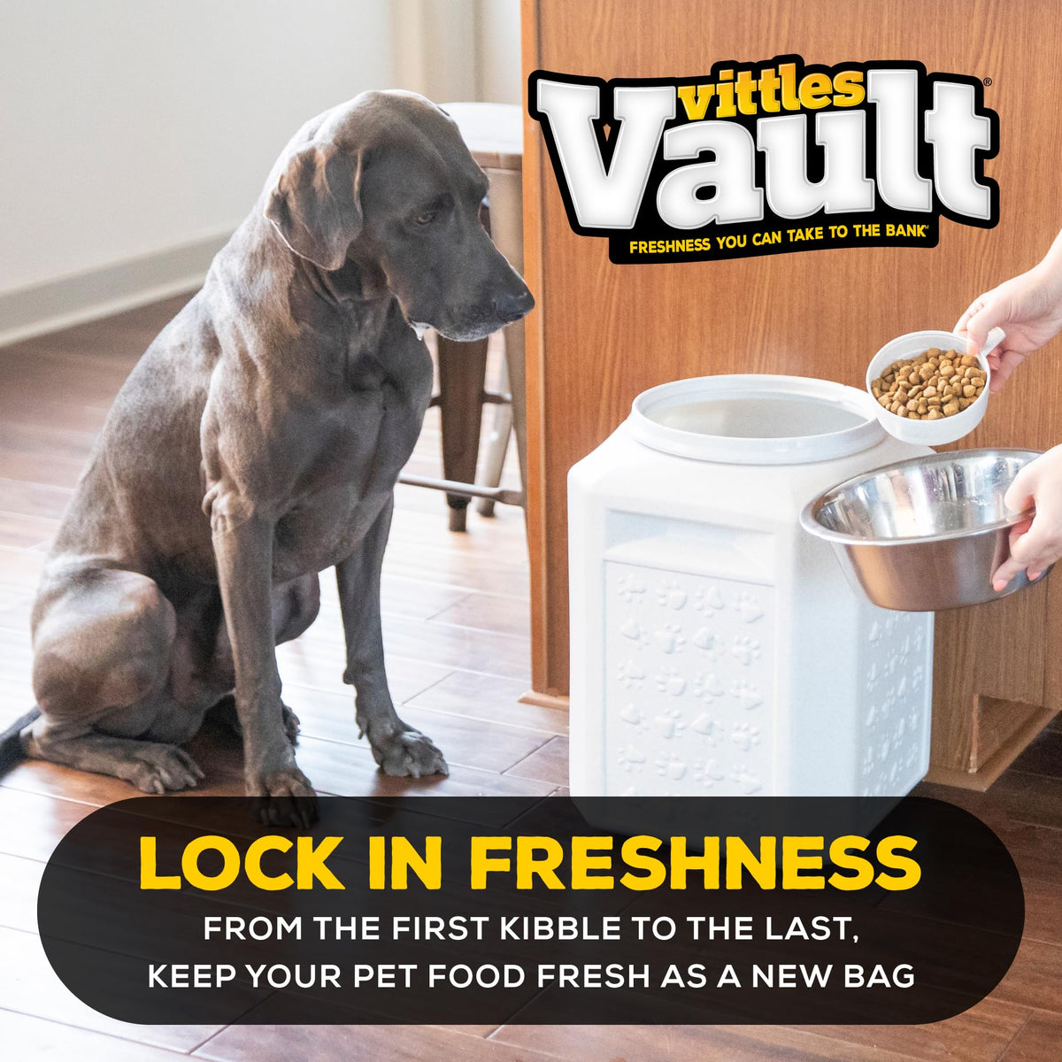 Gamma2 Vittles Vault Airtight Dog Food Storage Container - Fits up to 35 Pounds of Dry Pet Food - Made in the USA - 12&quot; L x 16.75&quot; H
