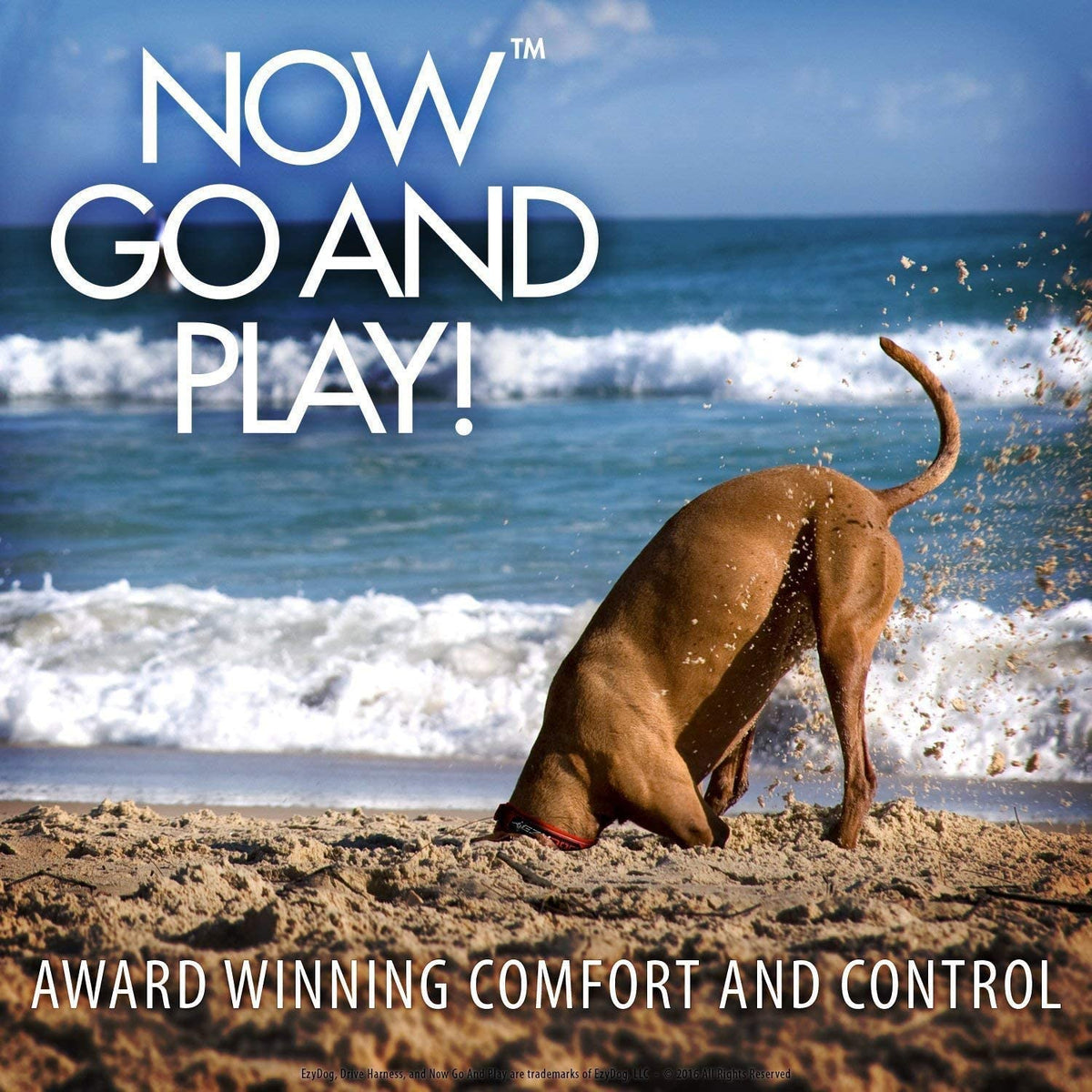 EzyDog DRIVE Dog Car Harness - Crash Tested US (FMVSS 213) Certified, Black, Small