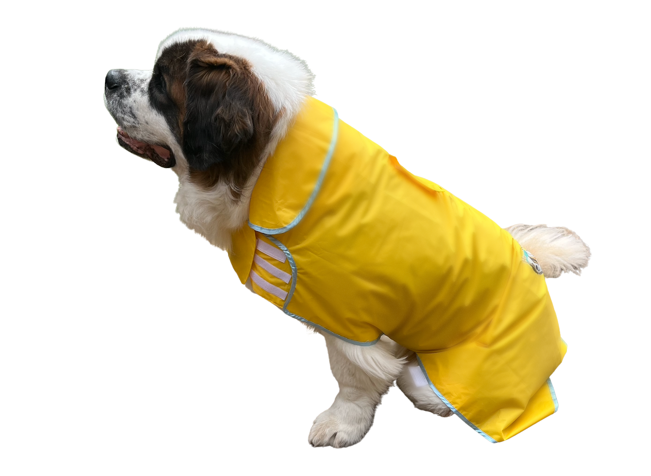 Dog rain coats large deals