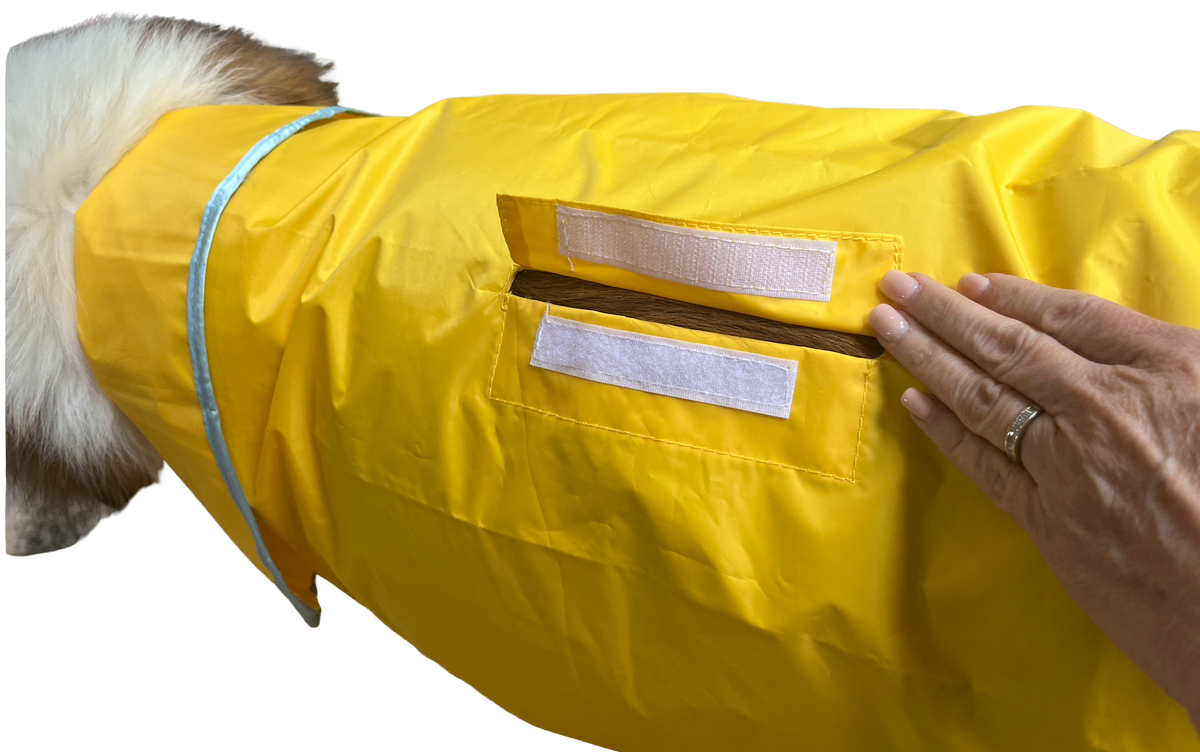 The Rain Rover Extra LARGE Dog Raincoat Made For The Plus-size Dog