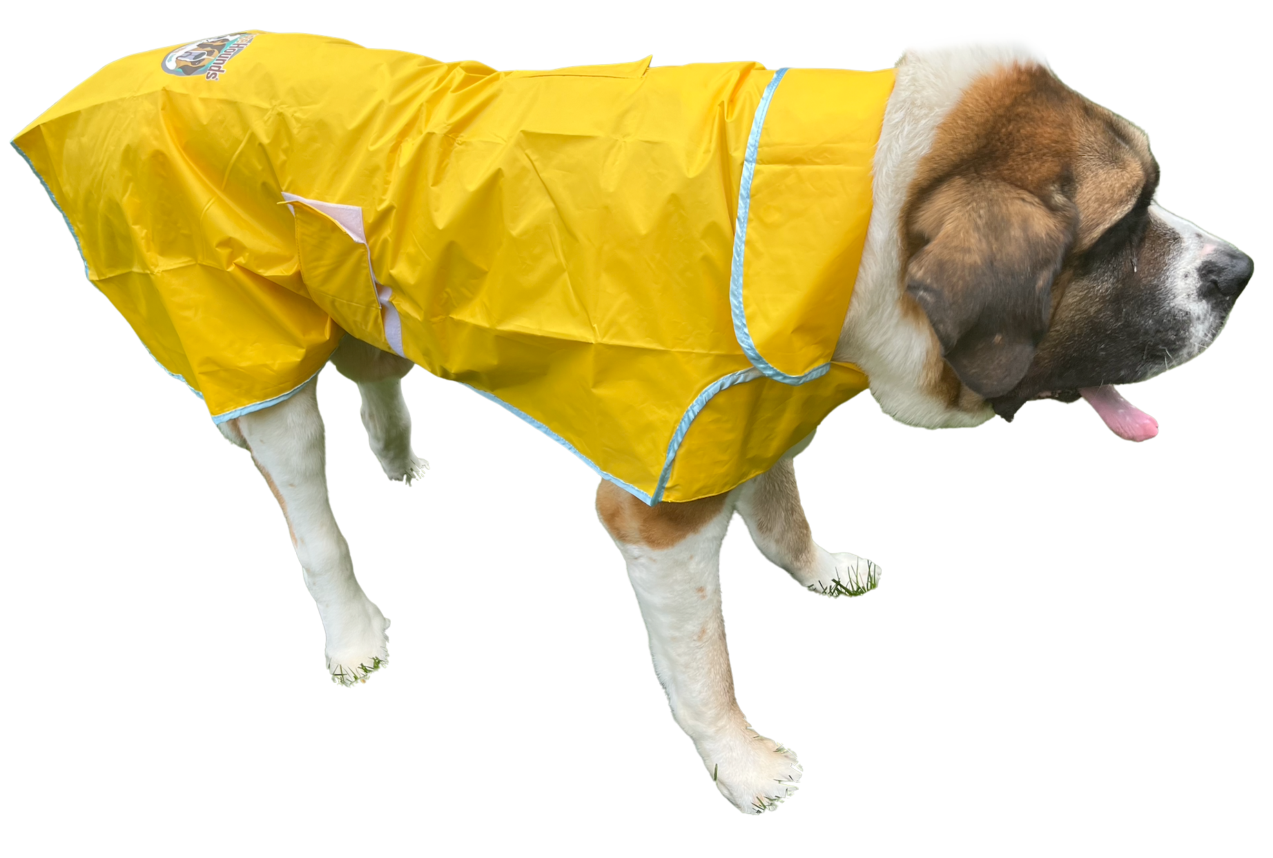Xl top dog raincoat