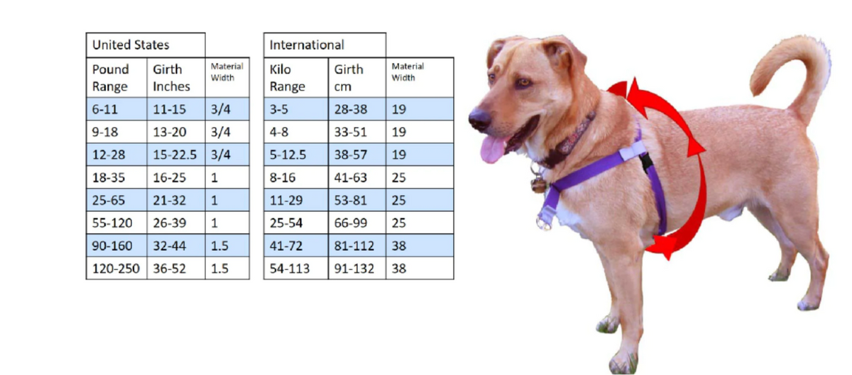 SMALL Dog Sibling Harness