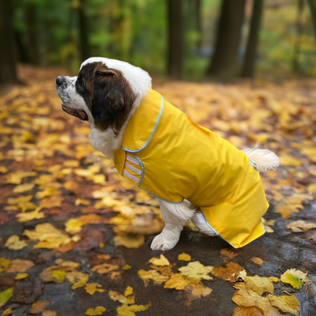 Large dog rain jacket discount