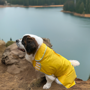 Extra large dog clothes online