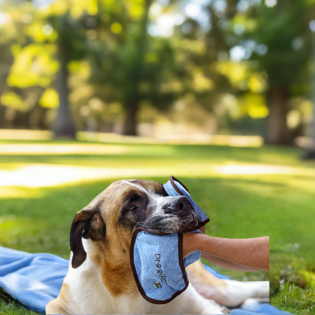 Drool guard online