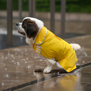 The Rain Rover Extra LARGE Dog Raincoat Made For BIG Dogs. HugeHounds