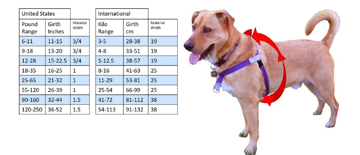 Big Dog Walking Harness