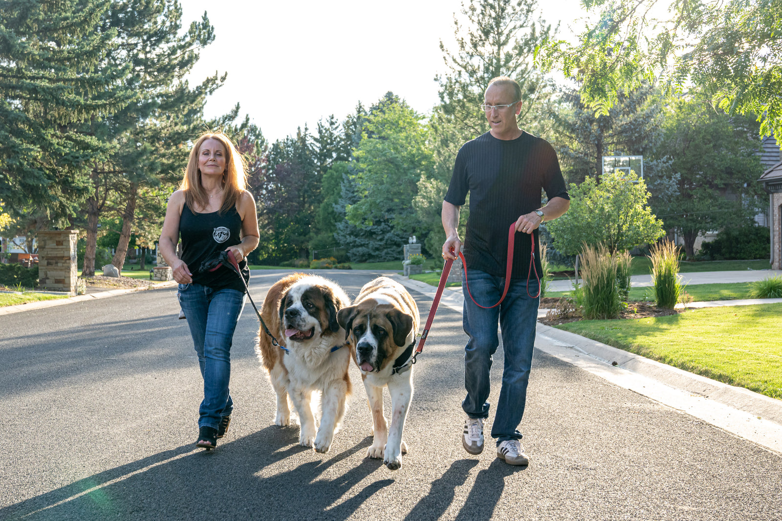 Big Dog Walking Harness