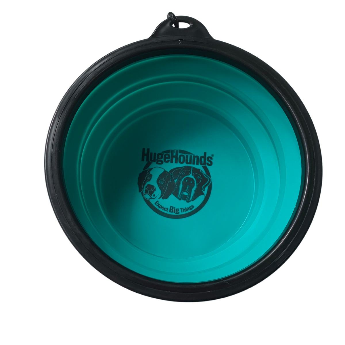 Extra large collapsible dog bowl clearance