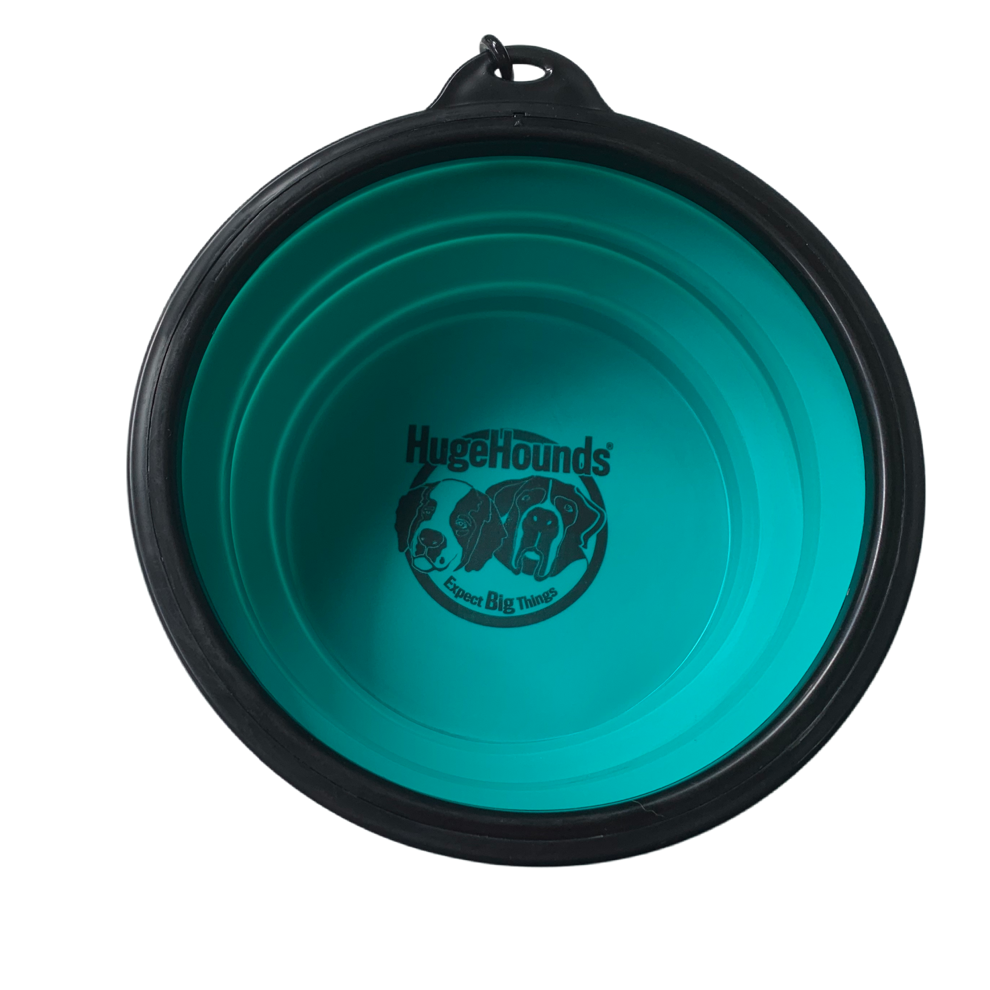 Travel Big Dog Bowl with Carabiner TEAL