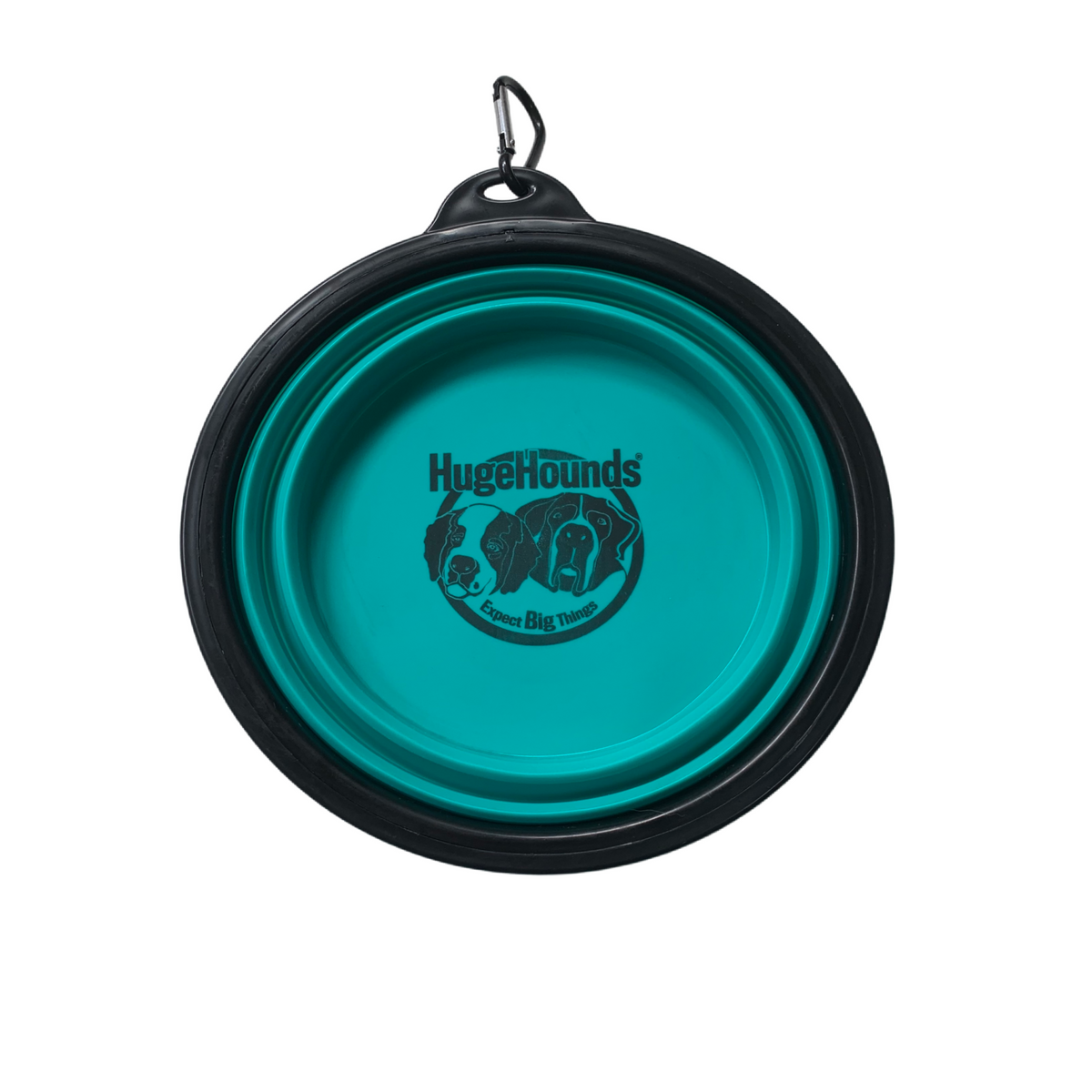 Travel Big Dog Bowl with Carabiner TEAL
