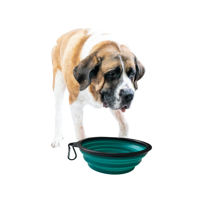 Buy Now: Travel Big Dog Bowl with Carabiner TEAL - HugeHounds