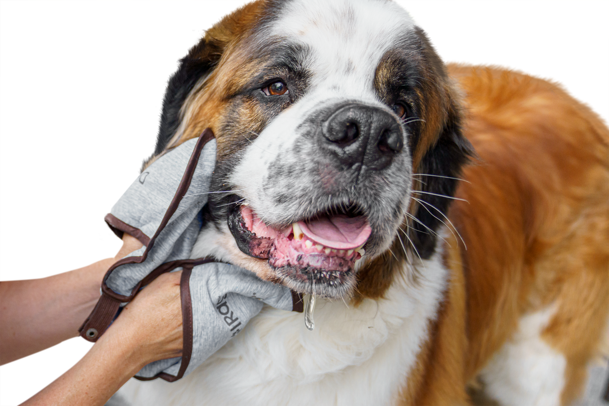 DroolRag® - Comes in Blue or Grey