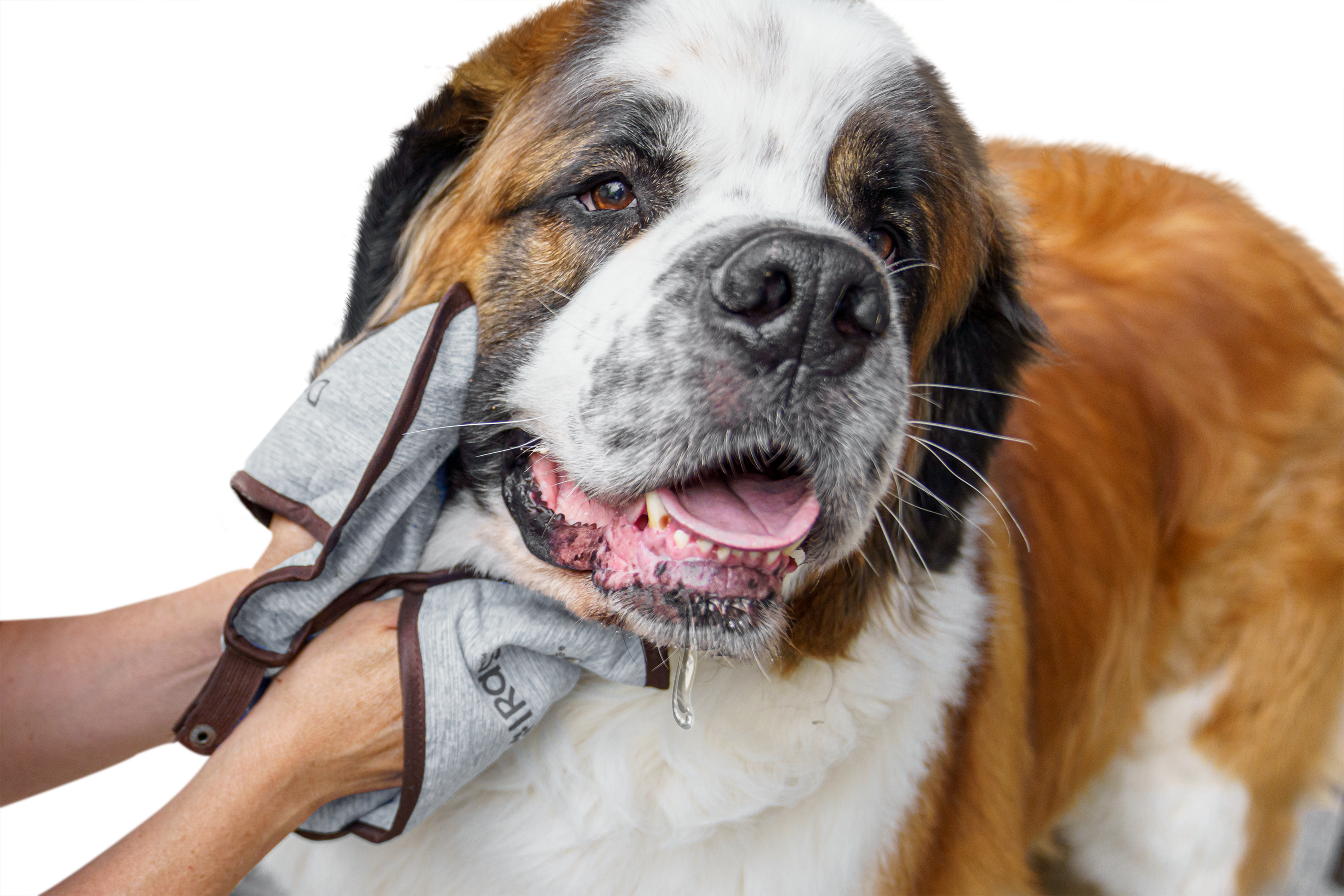 DroolRag Comes in Blue or Grey HugeHounds