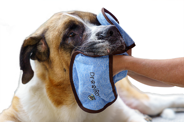 Shop Now for the Ultimate Droolrag - HugeHounds