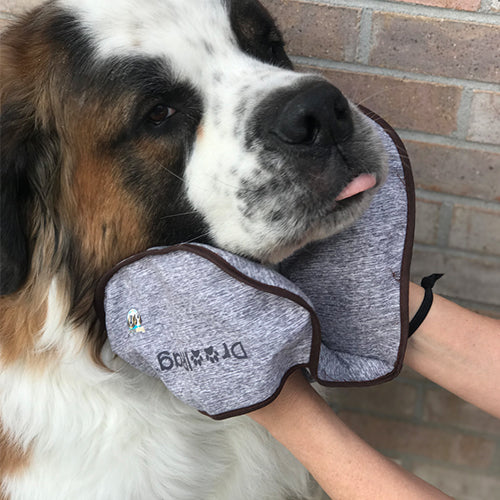 DroolRag® - Comes in Blue or Grey