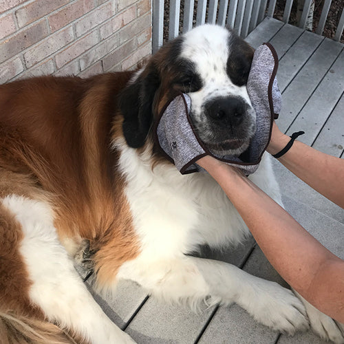 DroolRag® - Comes in Blue or Grey