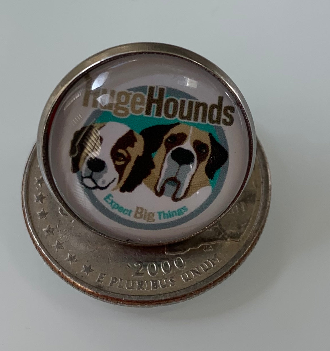 HugeHounds Pin