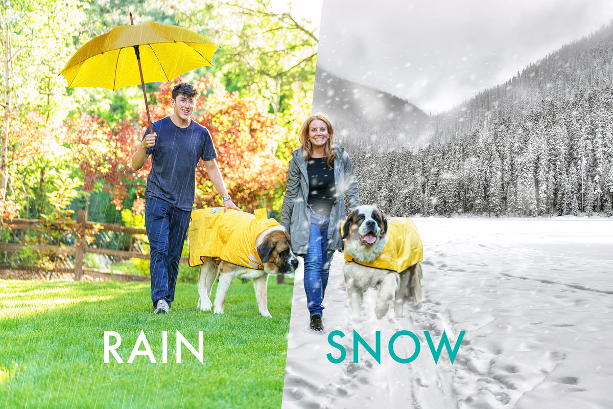 The Rain Rover Extra LARGE Dog Raincoat Made For The Plus-size Dog